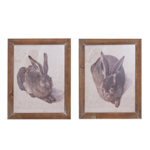 Wood Framed Rabbit Print - Assorted 2 Styles