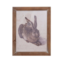 Wood Framed Rabbit Print - Assorted 2 Styles