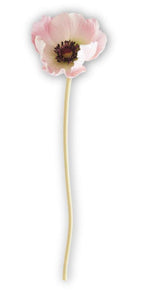 Pink Real Touch Poppy Stem
