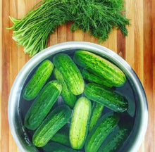 Pickle Making Kit