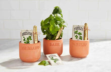 Oregano Herb Planting Set