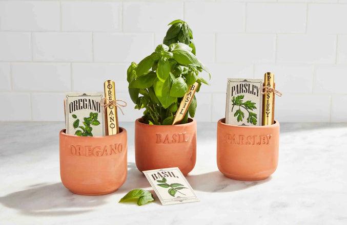 Oregano Herb Planting Set
