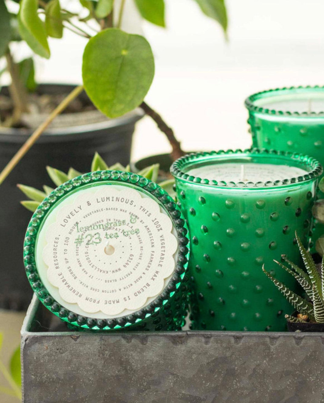 Lemongrass Tea Tree Hobnail Candle 16oz