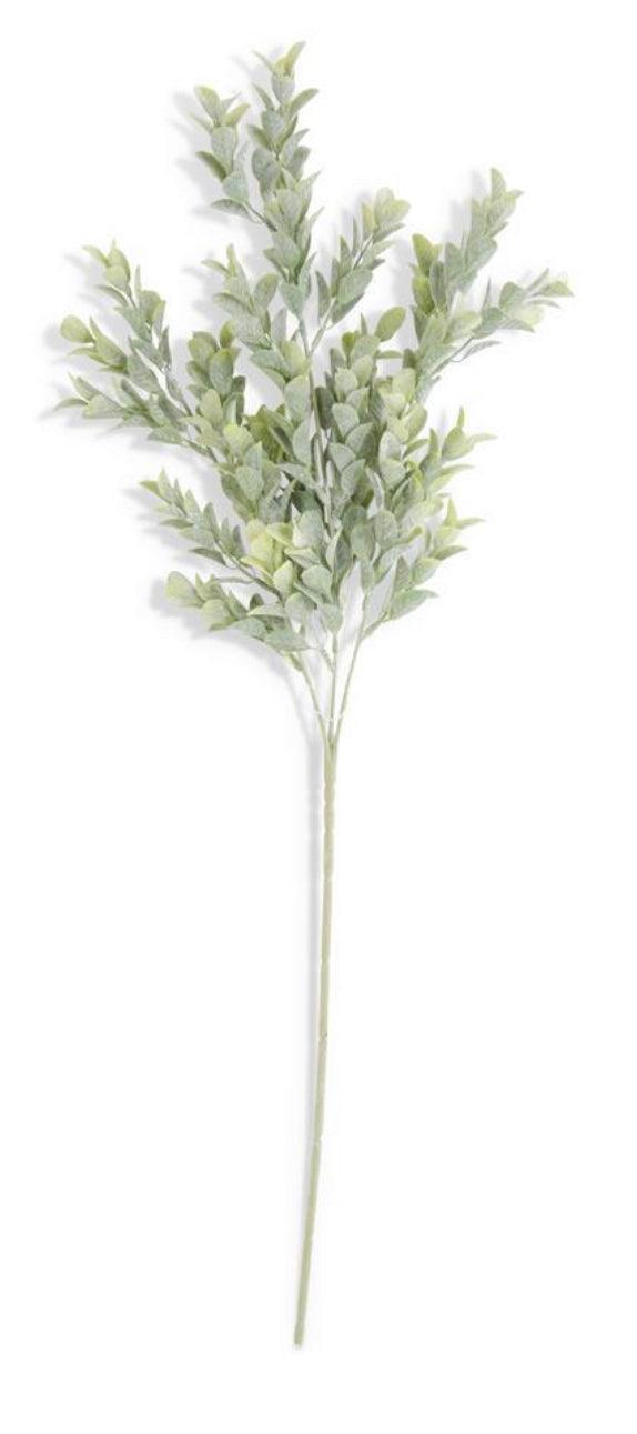 Powdered Boxwood Stem
