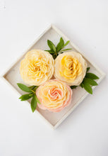 Juliet's Dream Garden Rose Soap