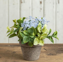 Light Purple Jasmine & Mint