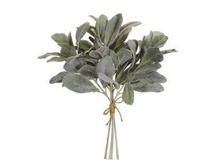 Lambs Ear Bundle