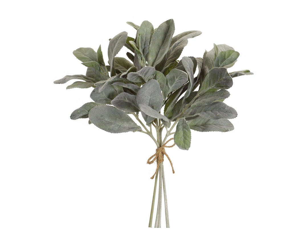 Lambs Ear Bundle