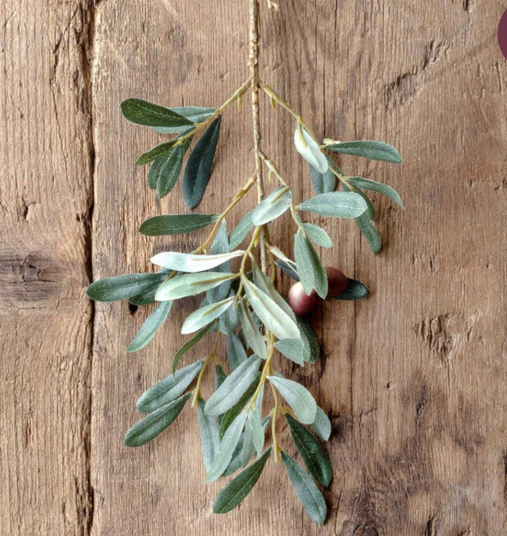 Spanish Olive Cutting