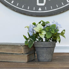 Light Purple Jasmine & Mint