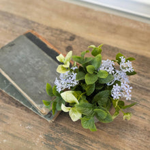 Light Purple Jasmine & Mint