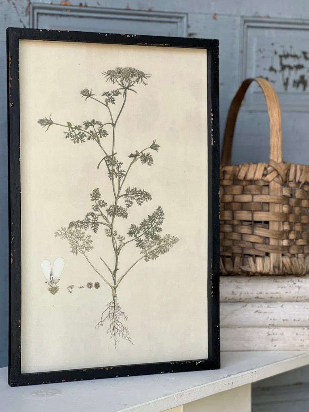Headley Garden Botanical No. 2